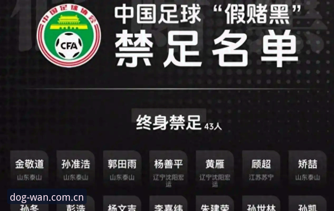 狗万APP新手教程 中国足球反腐风暴:第三批禁足名单全面解析与行业生态深度反思